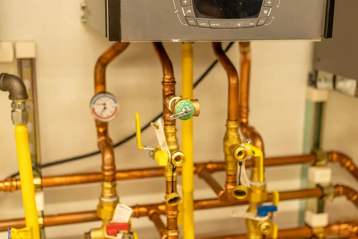 Licensed technician providing Emergency Plumbing for a homeowner in Odenville